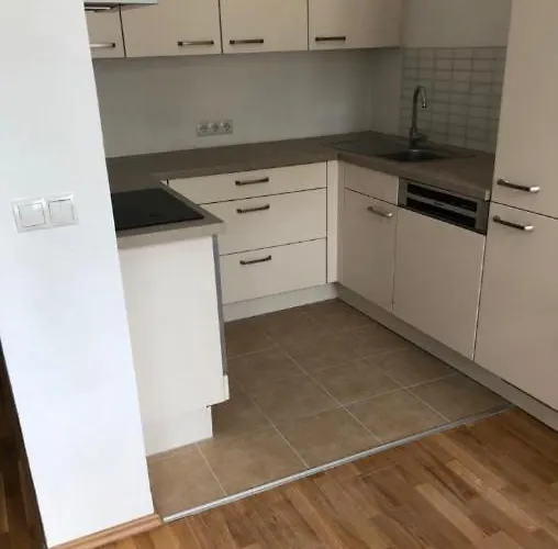 Grosse 4 Wohnung. Schoenbrunn-naehe! Βιέννη