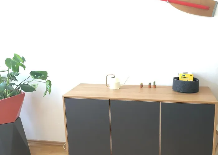 Grosse 4 Wohnung. Schoenbrunn-naehe! * Βιέννη